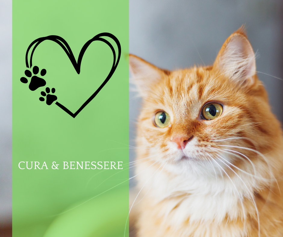 Cura e Benessere