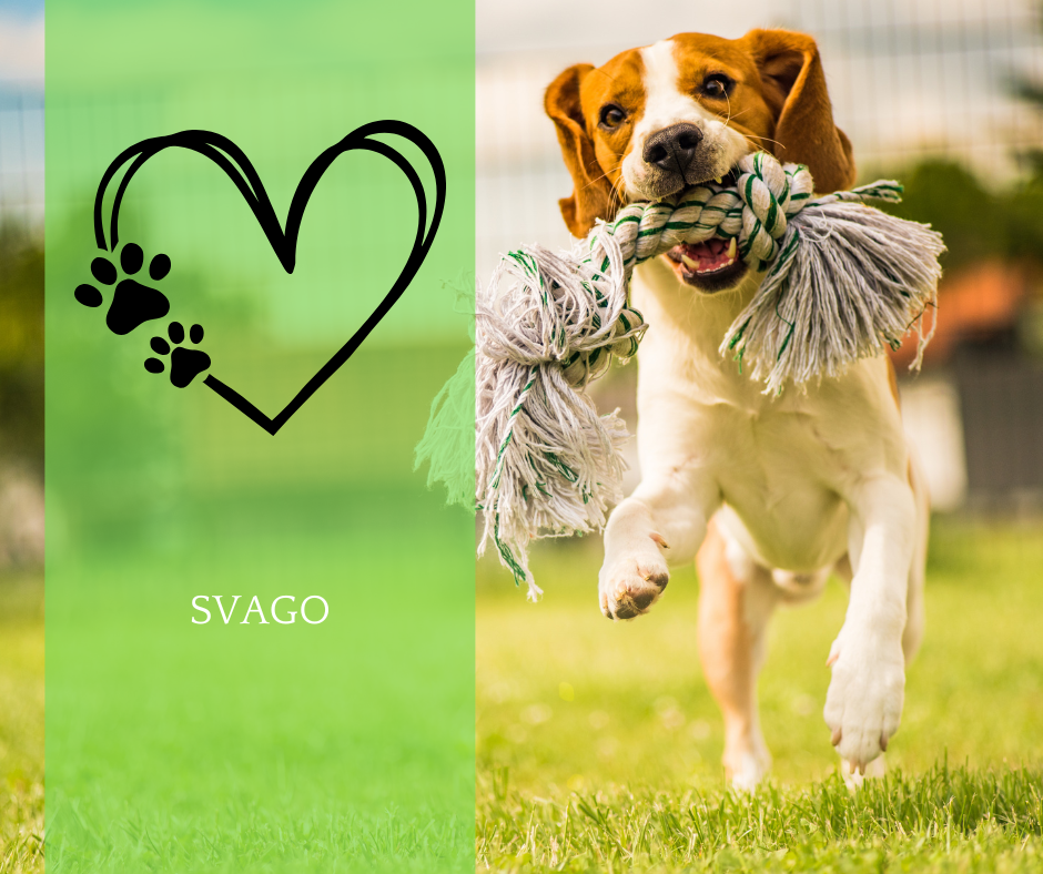 Svago