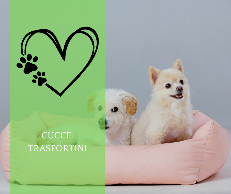Cucce e Trasportini