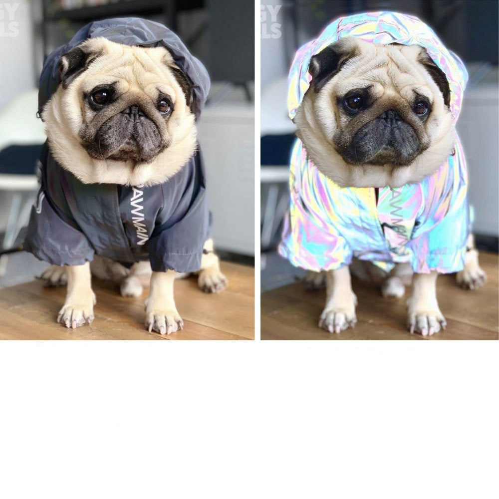 Cappotto per Cani Taglia Grande – Impermeabile Antivento