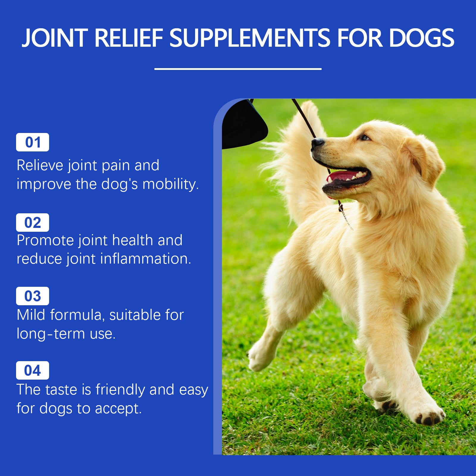 Integratore per Cani – Supporto Articolare Quotidiano