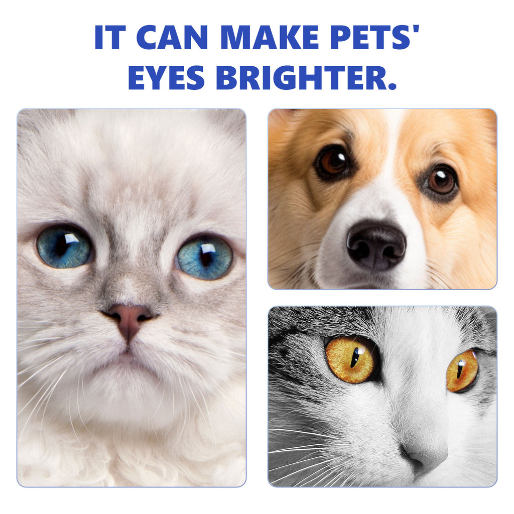 Collirio per Cani e Gatti