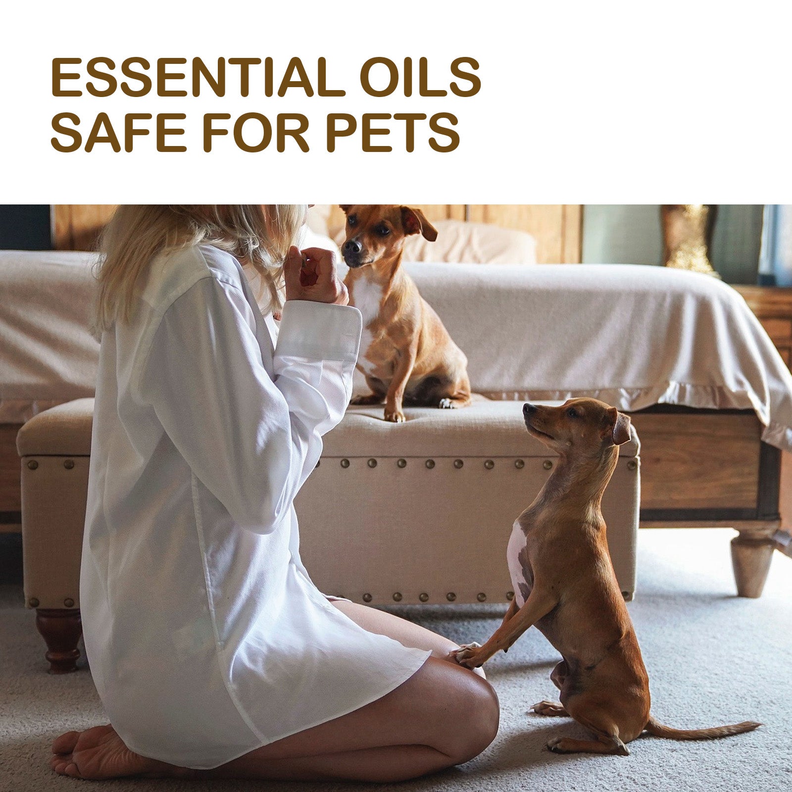 Olio per Articolazioni Cani e Gatti – Mobilità e Benessere