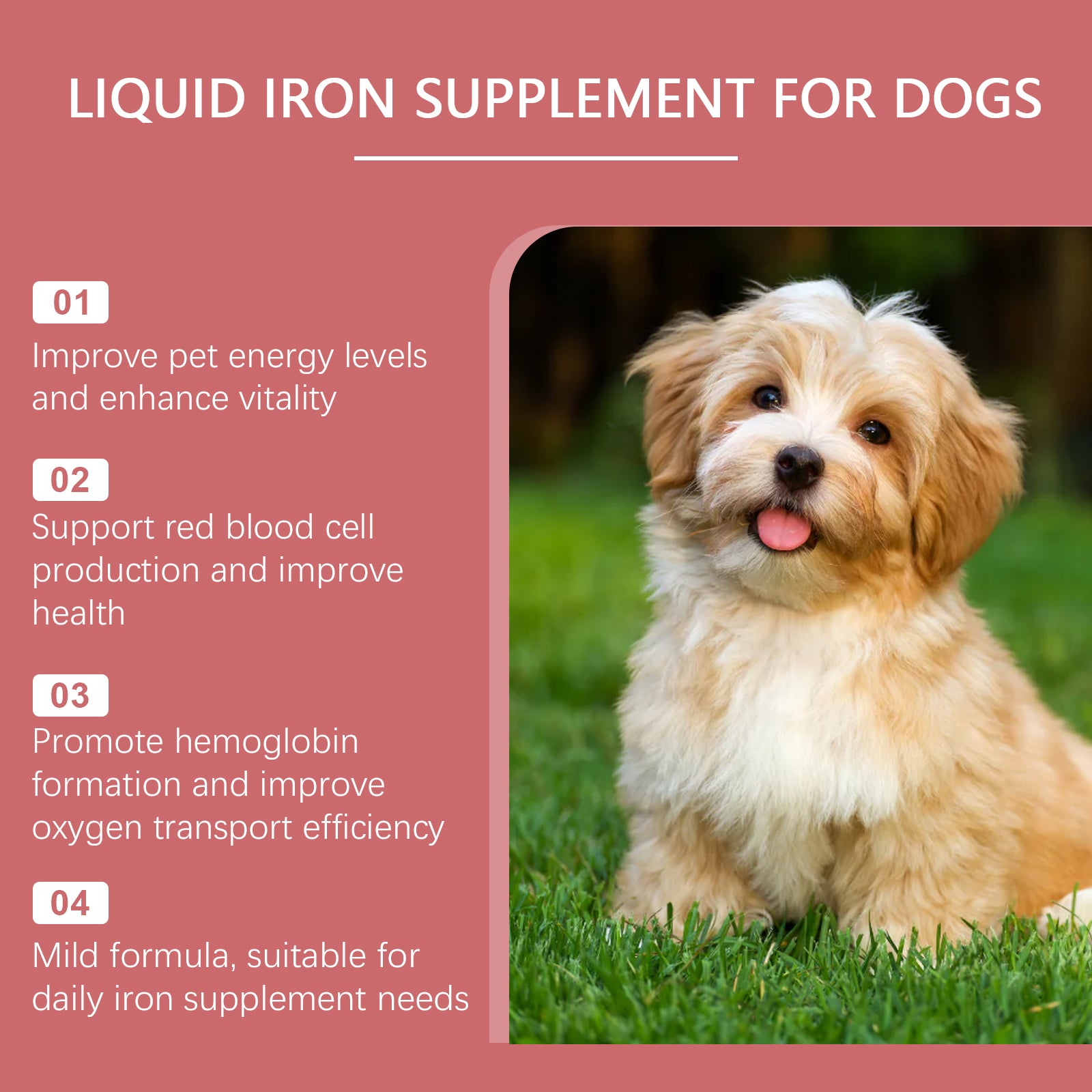 Sciroppo per Cani – Supporto Benessere Quotidiano
