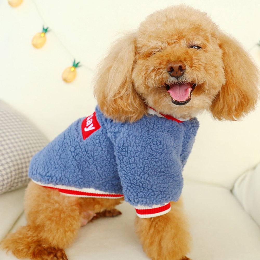 Vestitino per Cani Piccoli in Cotone – Autunno/Inverno