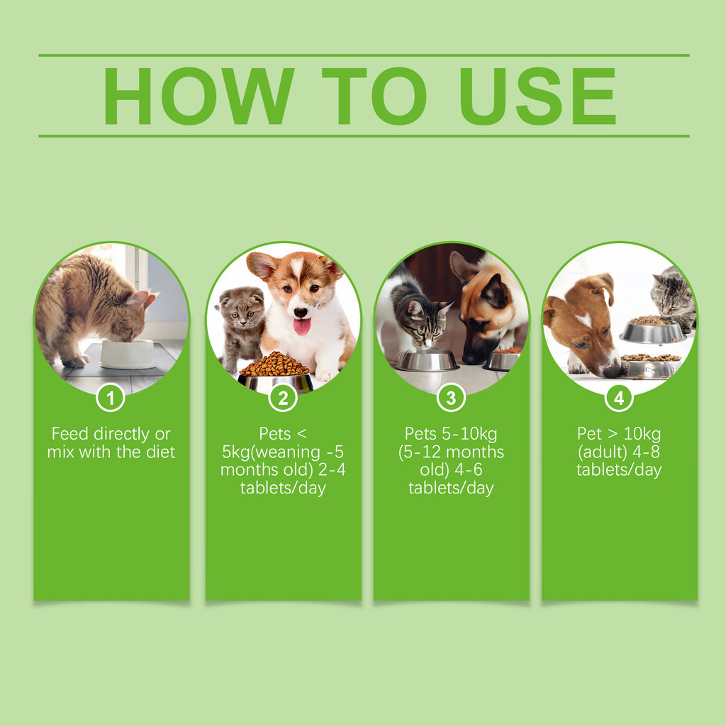 Probiotici per Cani e Gatti – Digestione e Difese Naturali