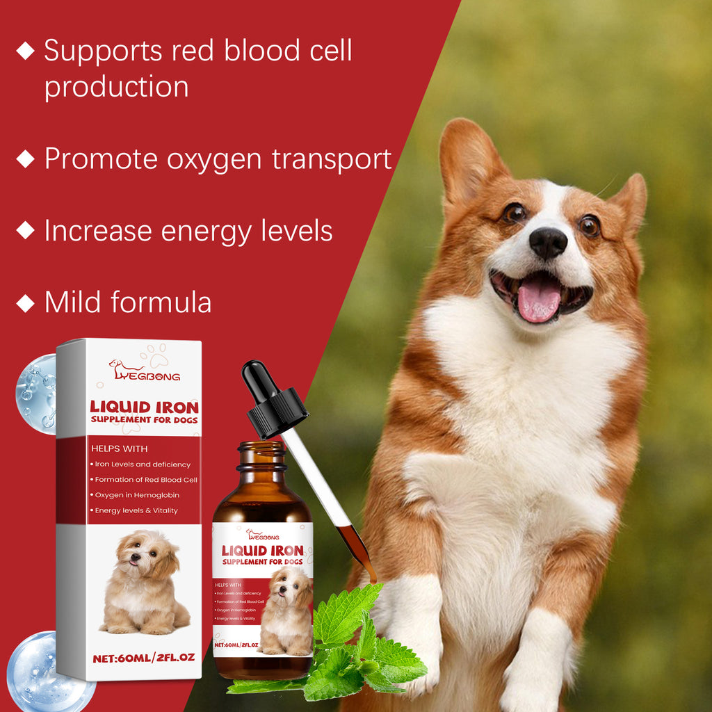 Sciroppo per Cani – Supporto Benessere Quotidiano