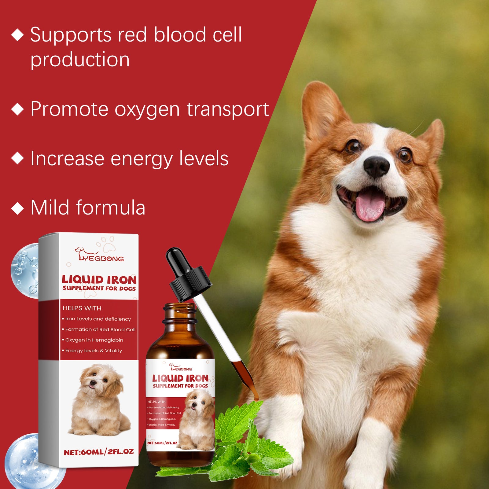Sciroppo per Cani – Supporto Benessere Quotidiano