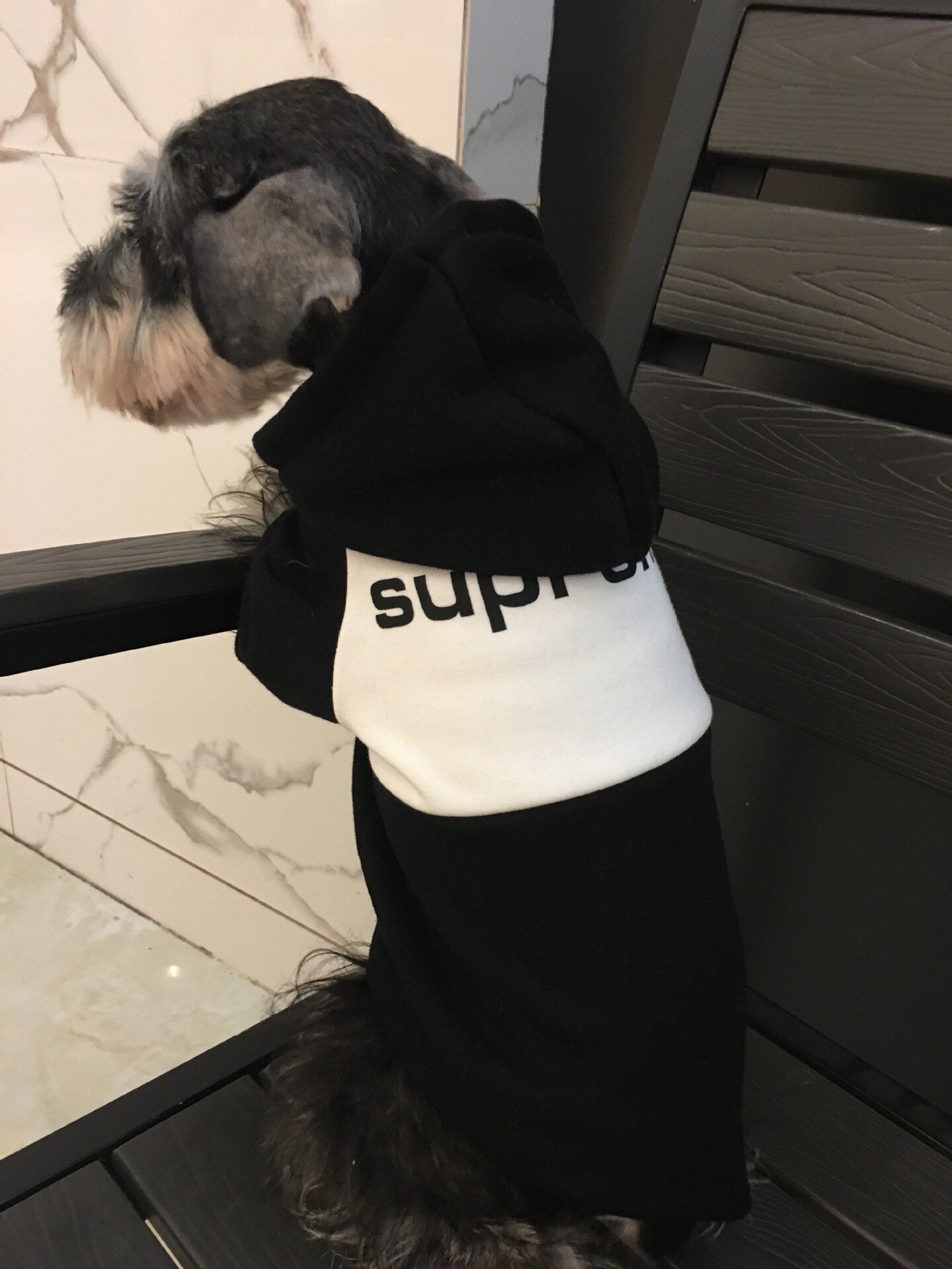 Felpa con cappuccio
