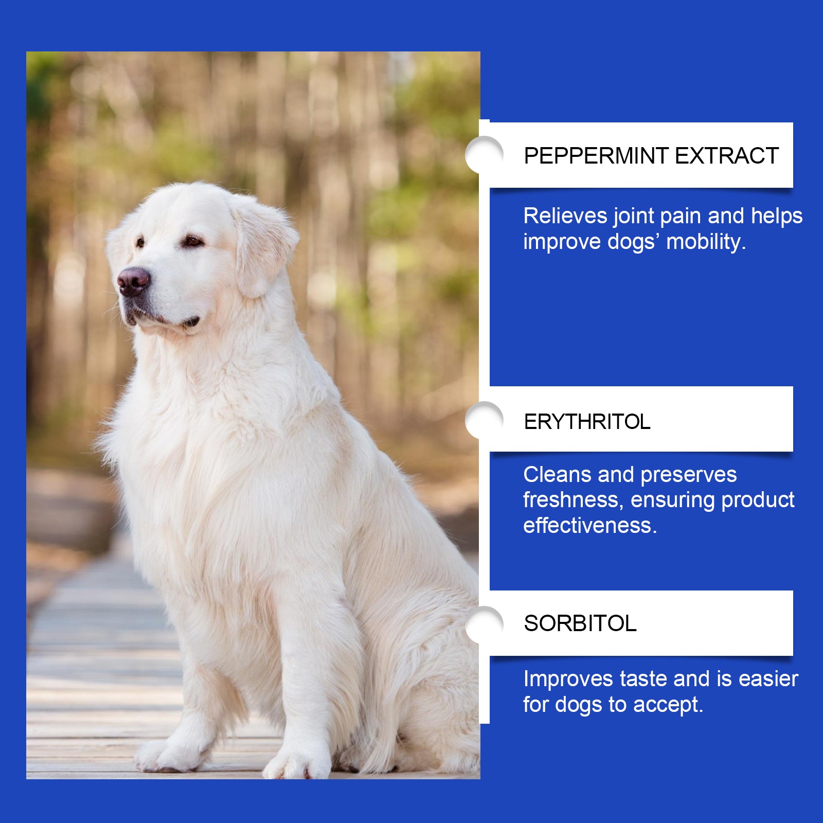 Integratore per Cani – Supporto Articolare Quotidiano