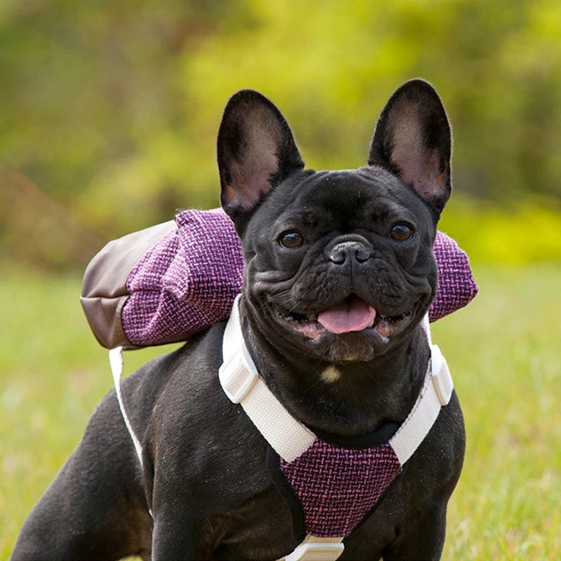 Zaino per Cani regolabile